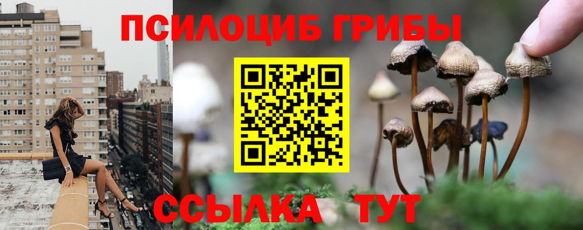 Псилоцибиновые грибы Psilocybe  Галлюциногенные грибы ЛСД  Уфа  закладки  Вход с VPN 